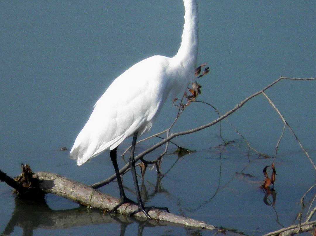 Holiday Beach Conservation Area-阿默斯特堡必去景点