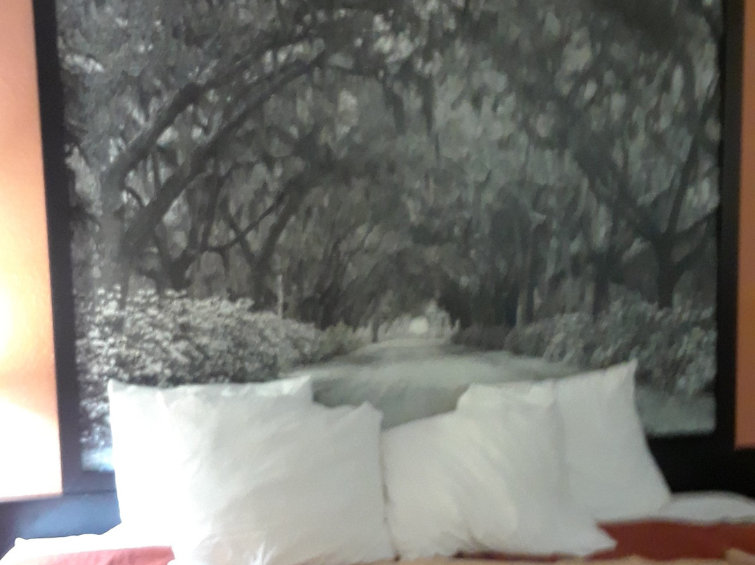 Super 8 by Wyndham Douglas主图