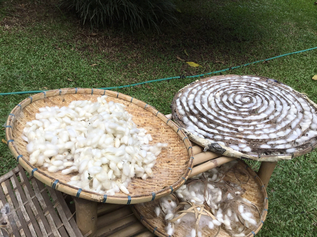 奥克流特克湄公河别墅酒店主图