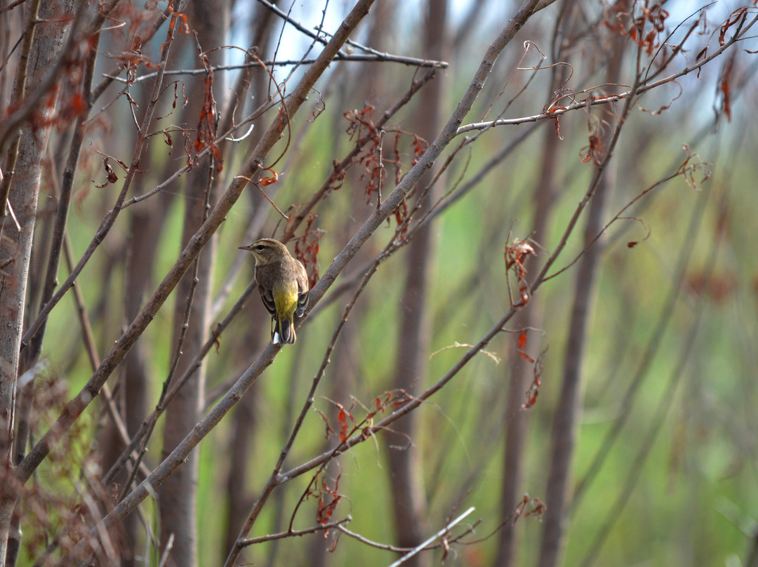 Audubon Center at Riverlands-West Alton必去景点