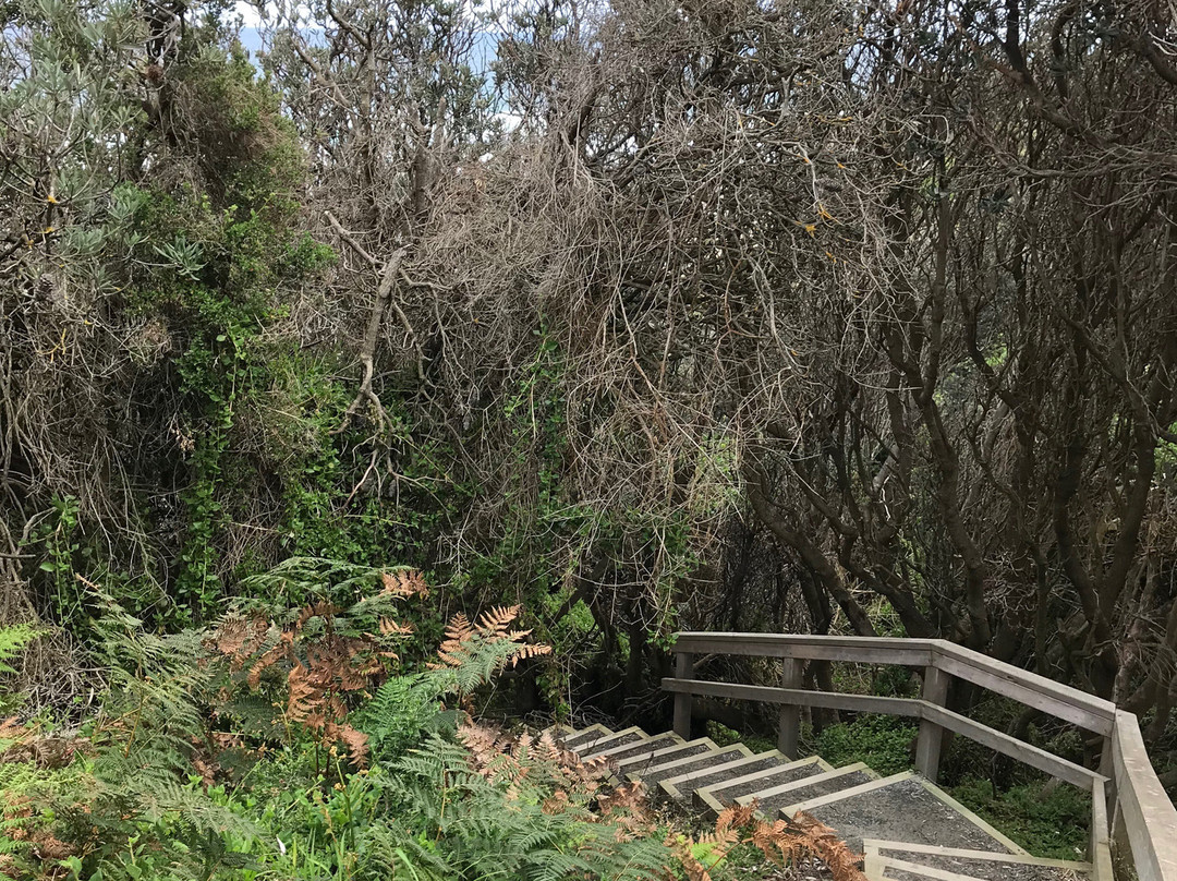 Twin reefs-Inverloch必去景点