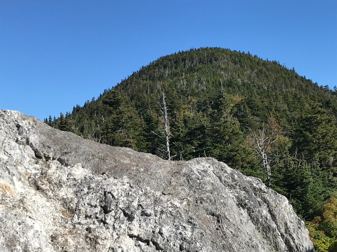 Big Moose Mountain景点图片