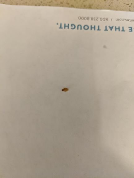 STAYBRIDGE SUITES COLUMBUS POLARIS by IHG-酒店景观