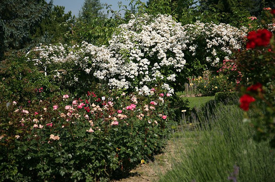 Richard Huber AG-Dottikon必去景点