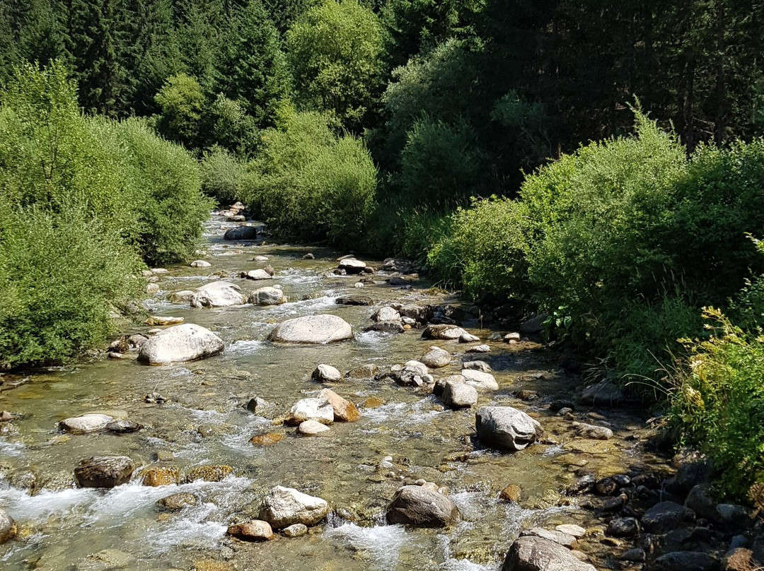 Rovine di Castel Thurn-蒙圭尔福-泰西多必去景点