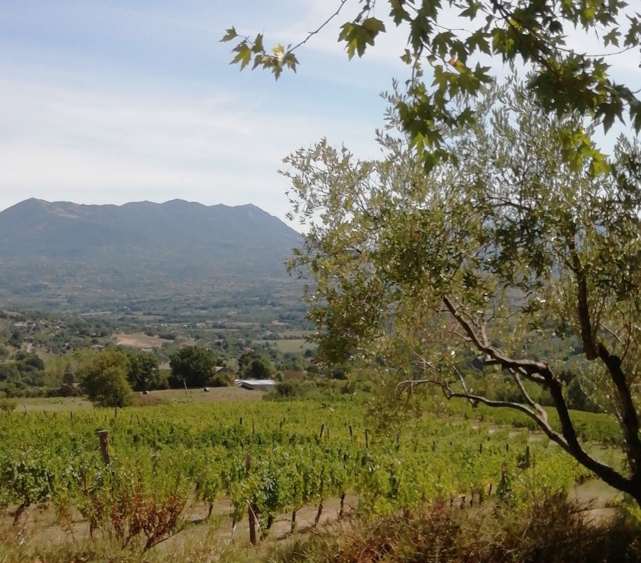 Agriturismo Selvanova主图