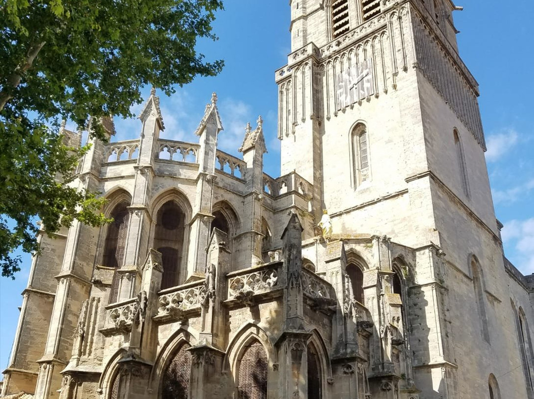 Cathédrale Saint-Nazaire de Béziers-贝济耶必去景点