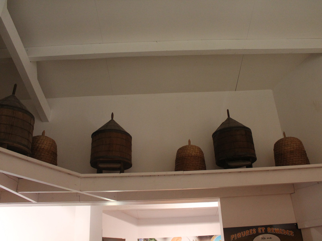 Musée La Maison des Abeilles-罗卡马杜尔必去景点