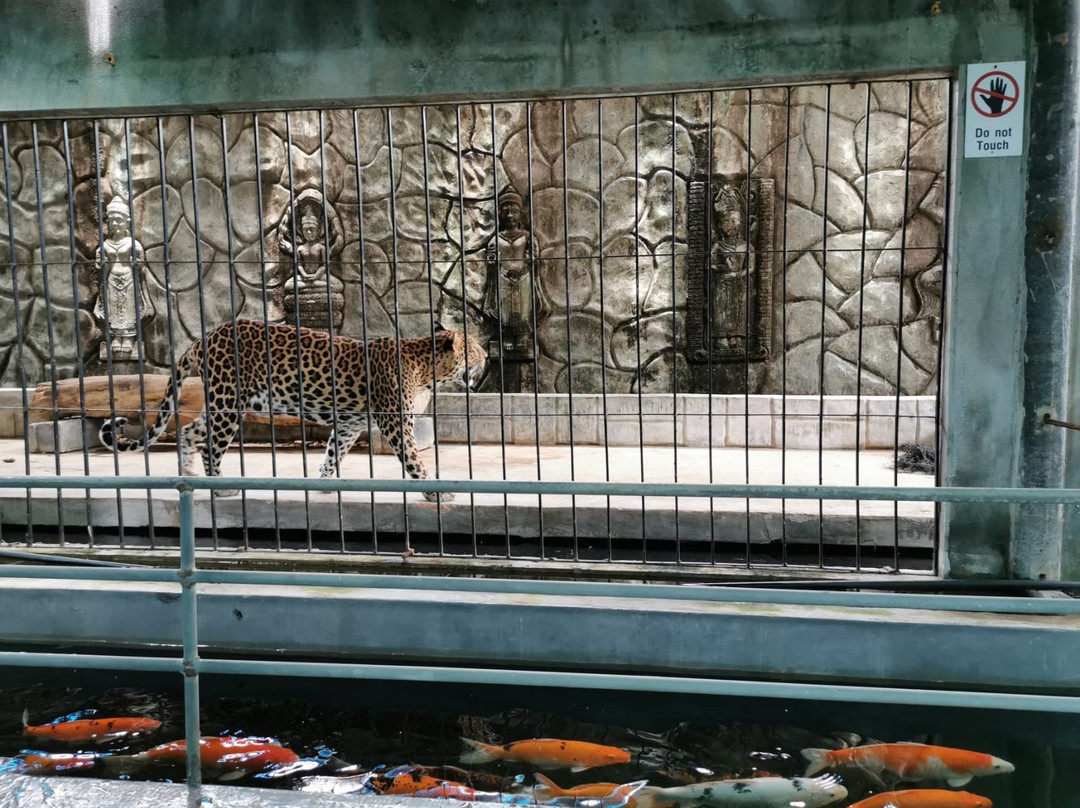 苏梅岛水族馆和老虎动物园景点图片
