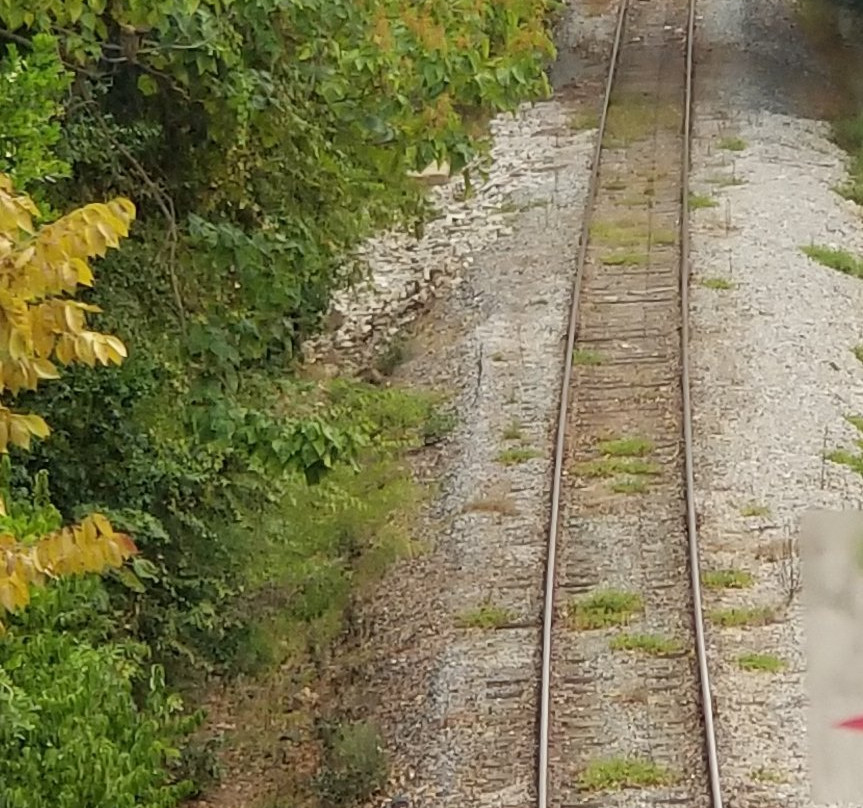 Aiken Visitors Center and Train Museum景点图片