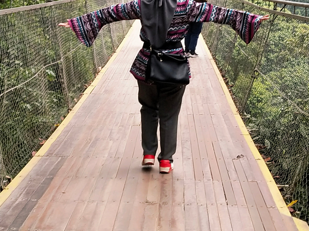 Jembatan Gantung Situ Gunung-苏加武眉必去景点