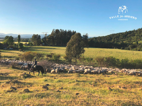 Valle del Arriero-Chimbarongo必去景点