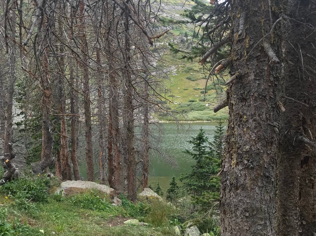 Bear Basin Packtrips景点图片