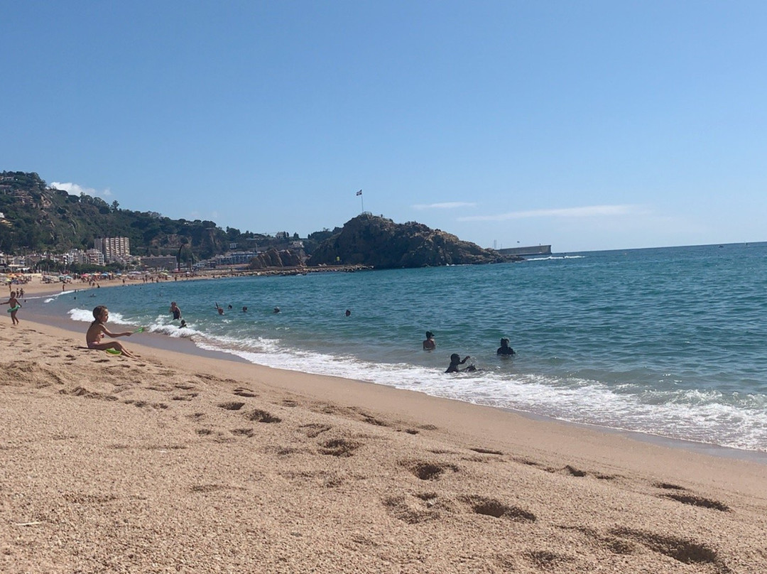 Playa de S'Abanell景点图片