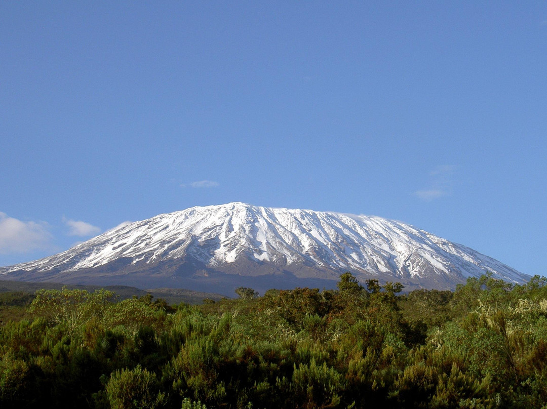 Kili Peacock Adventures-基尔必去景点