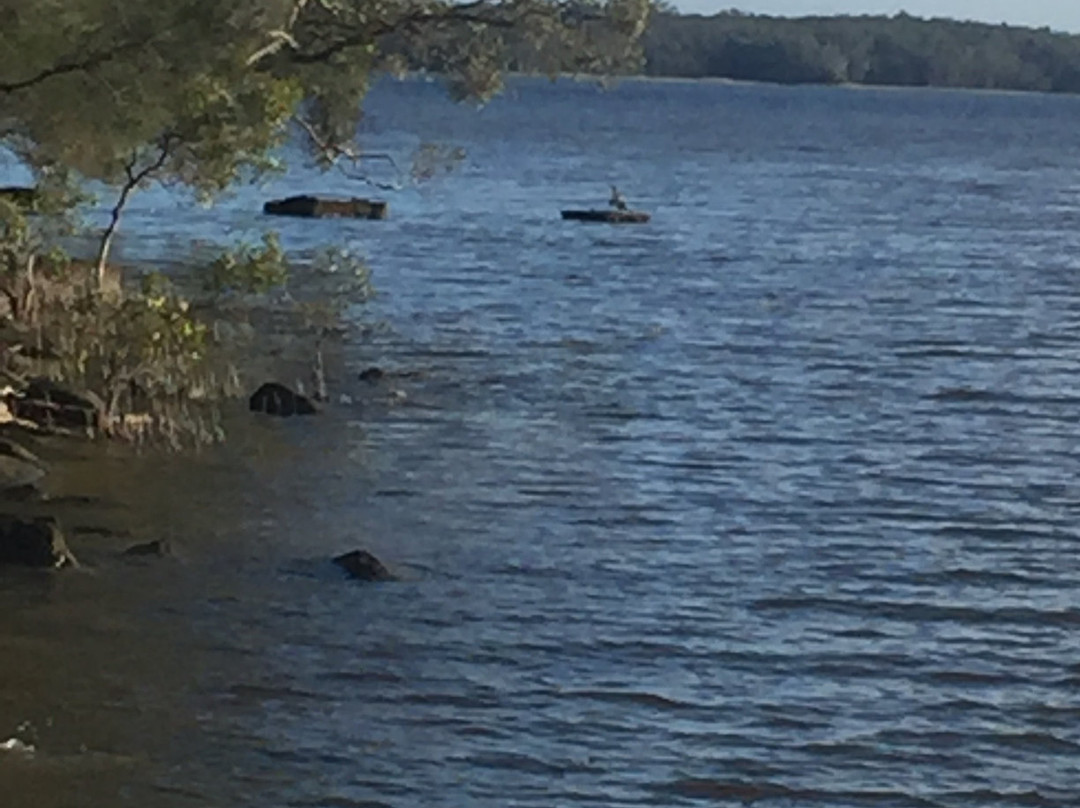 Beechs’ Brook Rain Forest Retreat主图