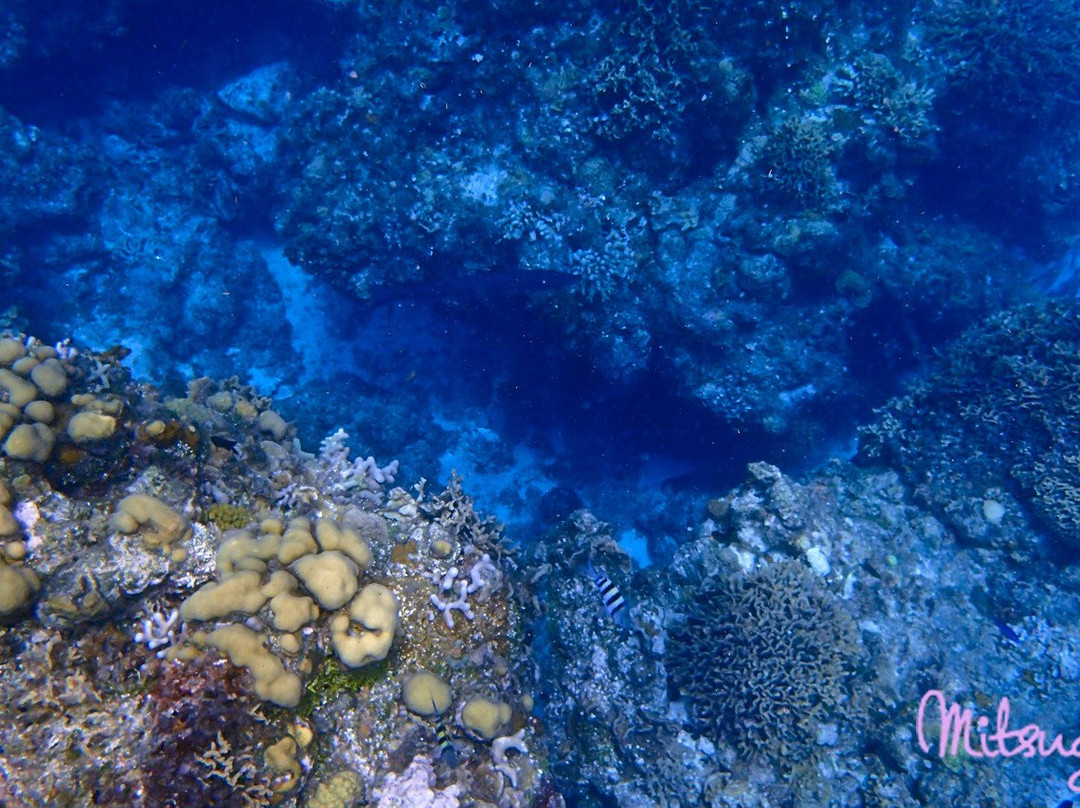 Columbia Reef景点图片