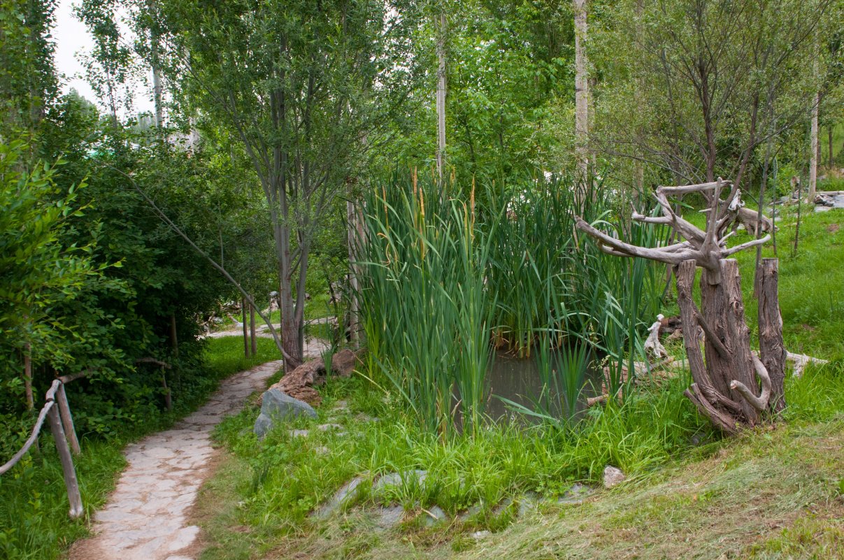 Baibol guest house-官方