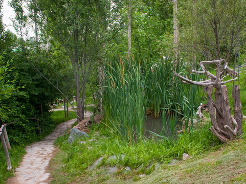 Baibol guest house主图