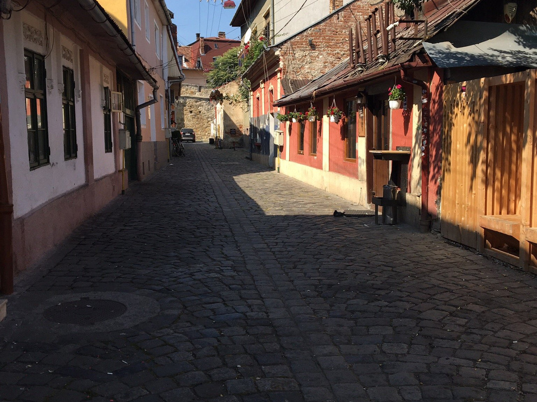 City Walls of Cluj景点图片
