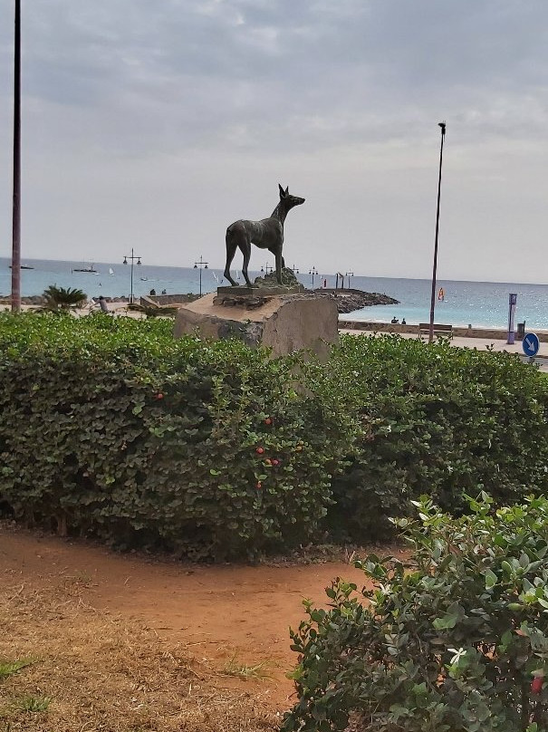 Statue Podenco Canario景点图片