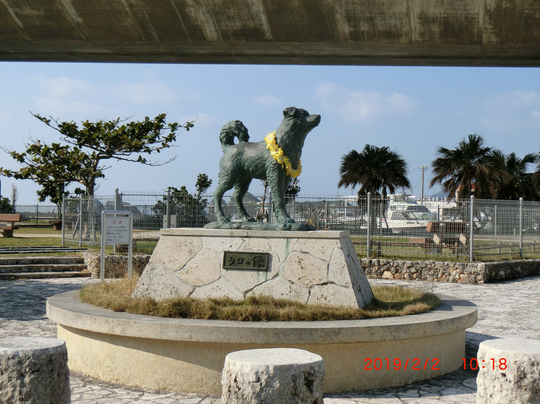 Statue of Shiro景点图片