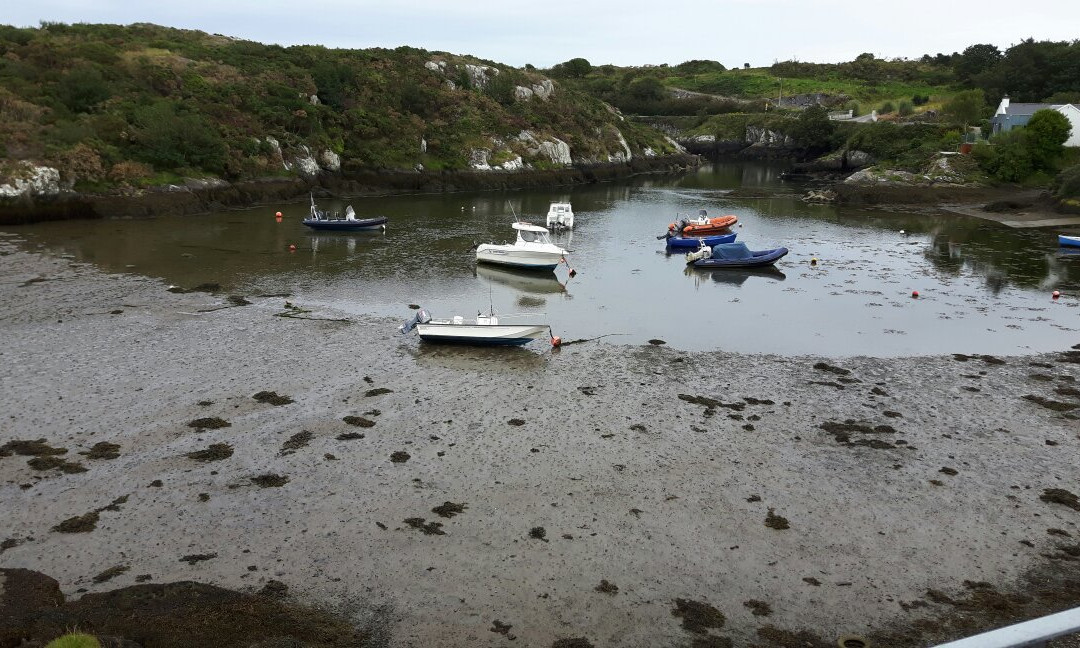 The Heron's Cove Restaurant and B&B主图