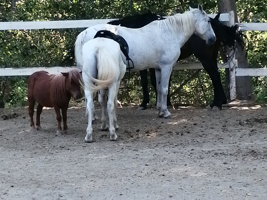 Masia El Molinete主图