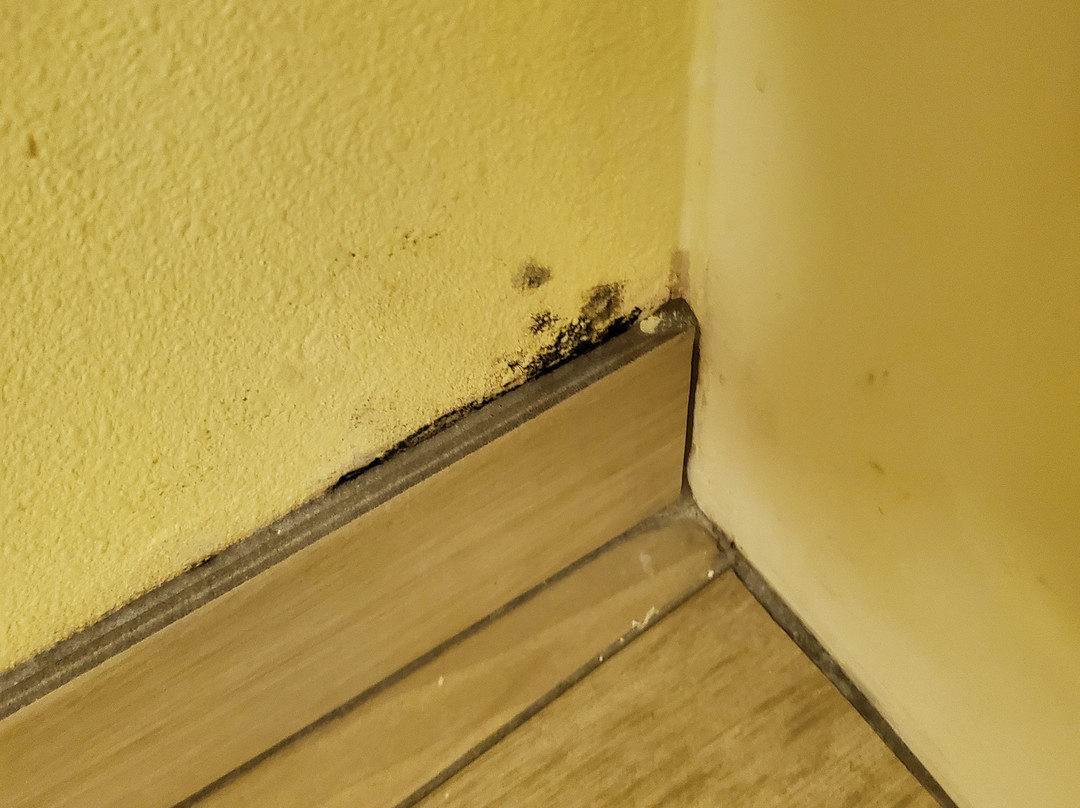 SureStay Plus By Best Western Tarboro主图