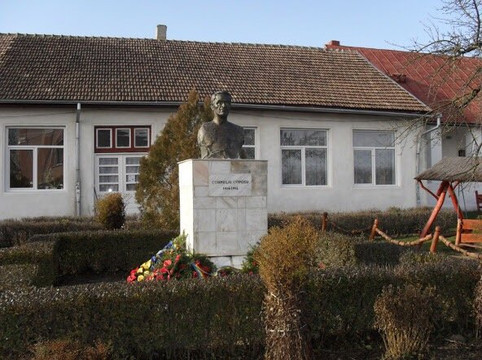 Complexul Cultural Sincai - Coposu