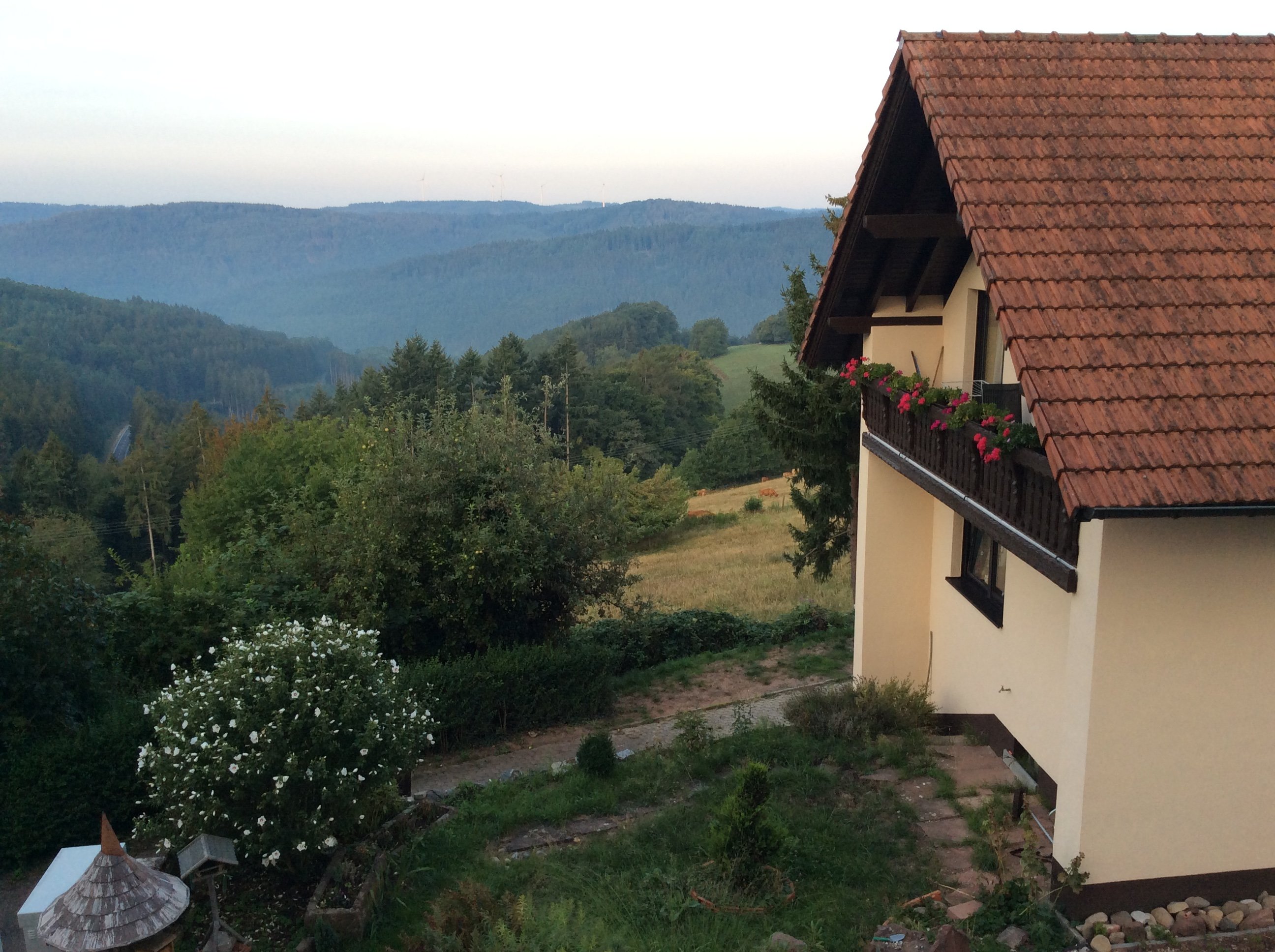 Hotel Zum Weissen Lamm-酒店景观