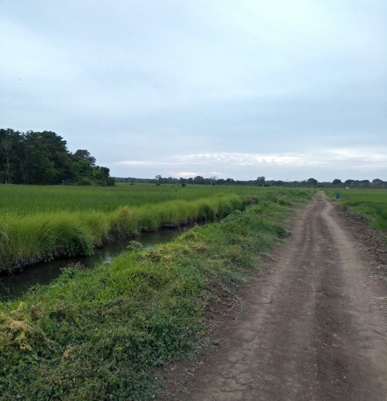 Misty Ella by rts-srilanka.com-埃勒必去景点