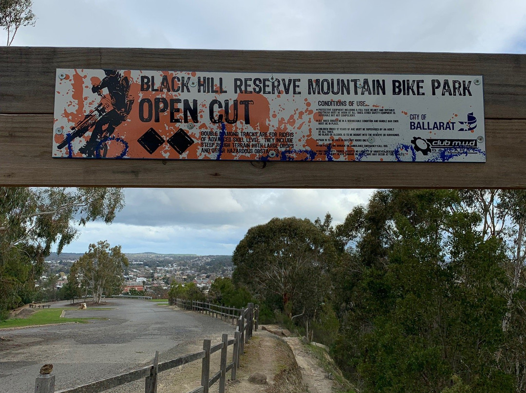 Black Hill Lookout-巴拉瑞特必去景点