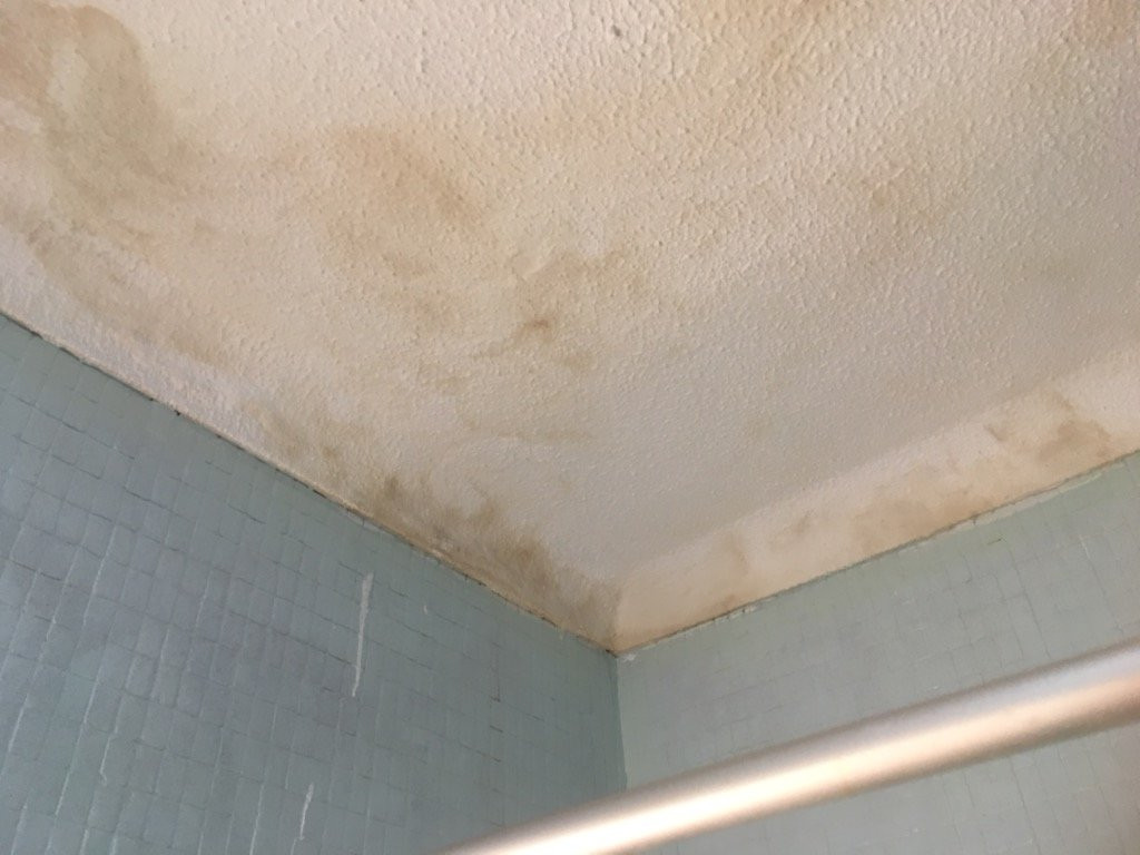 Aparthotel Navigator主图