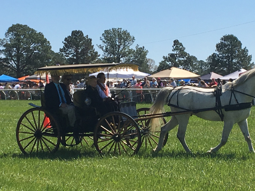 Aiken Steeplechase景点图片