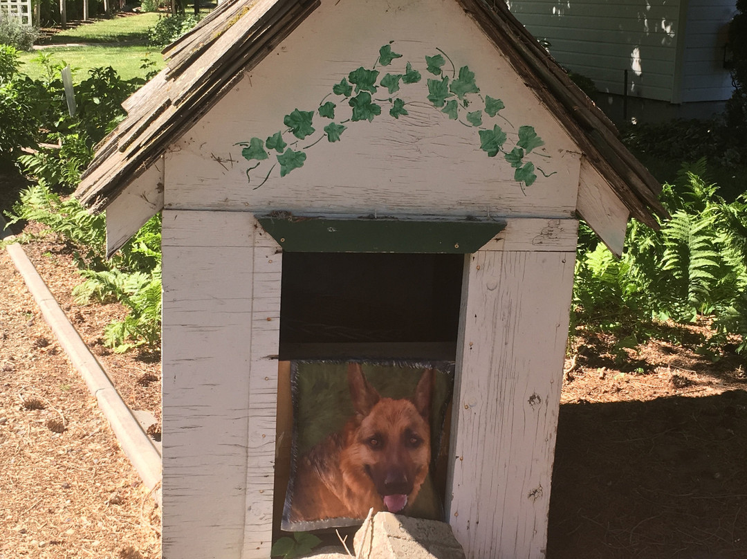 Cozy Rose Luxury Inn Bed & Breakfast主图