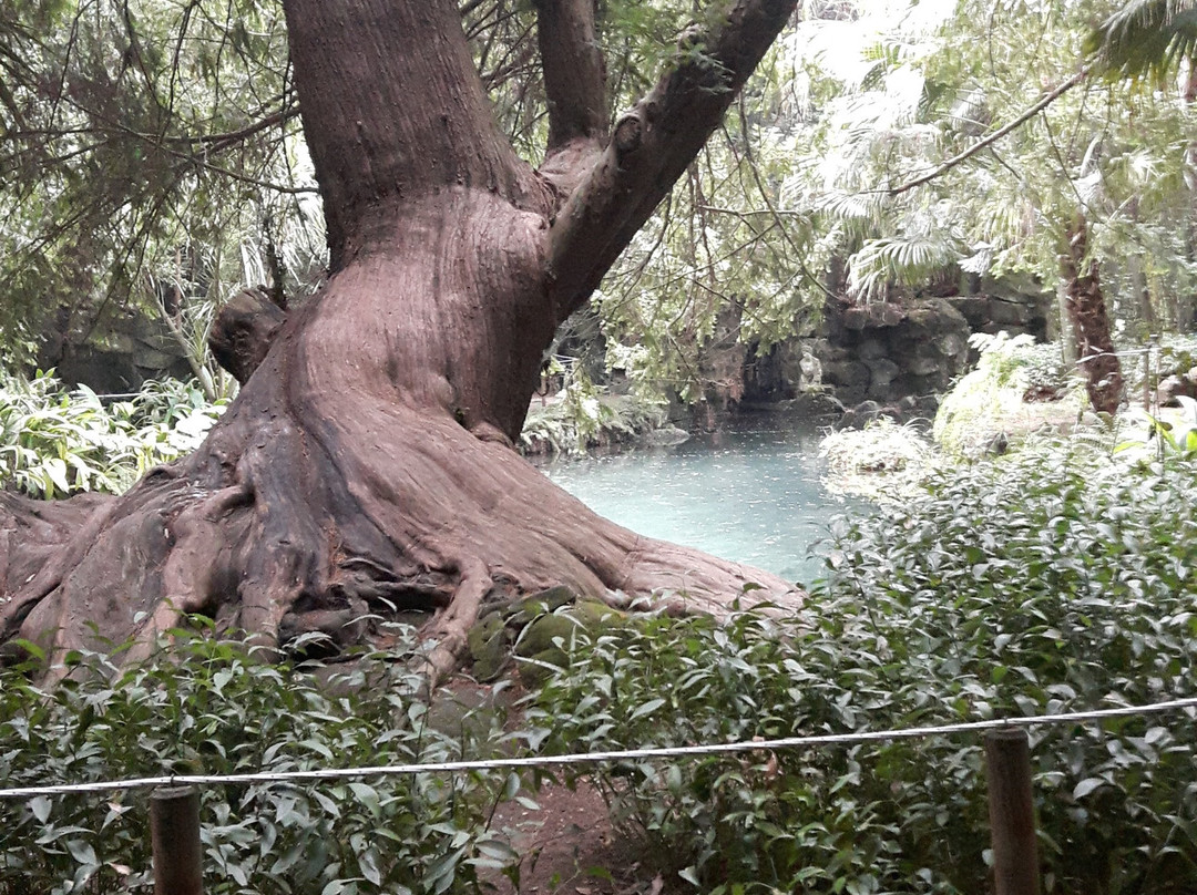 Bagno di Venere景点图片