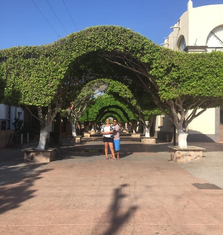 Motel El Dorado主图