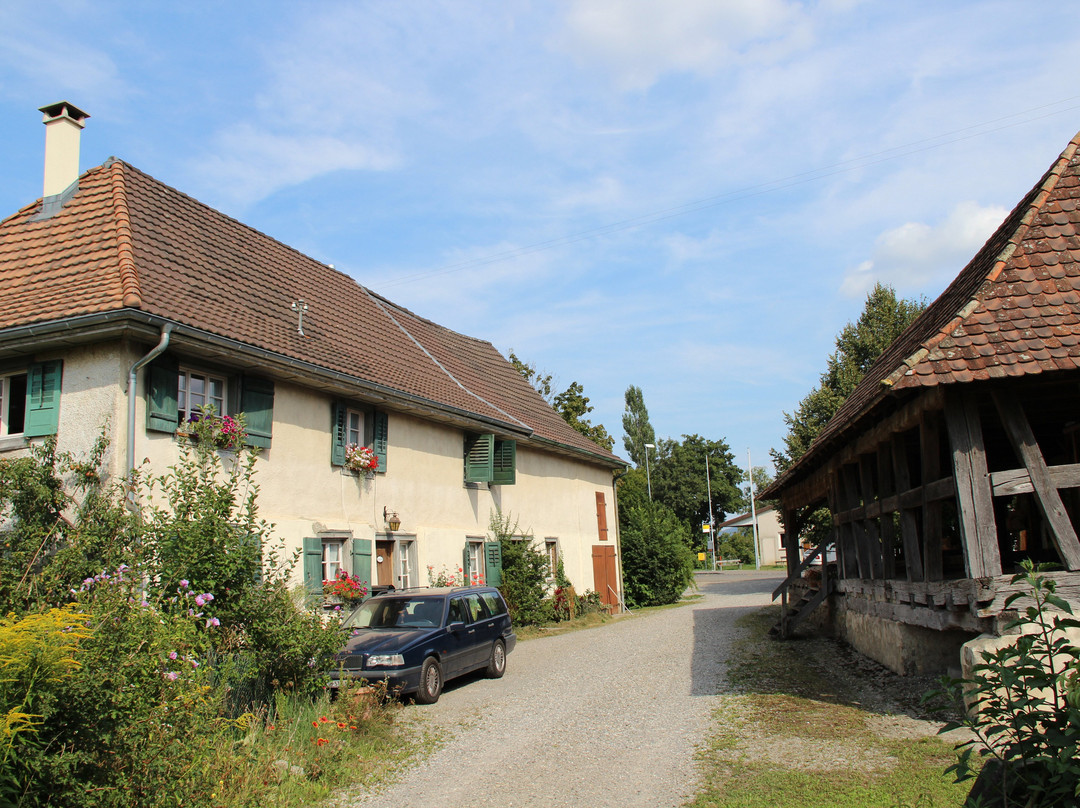 Eselhof Säge主图
