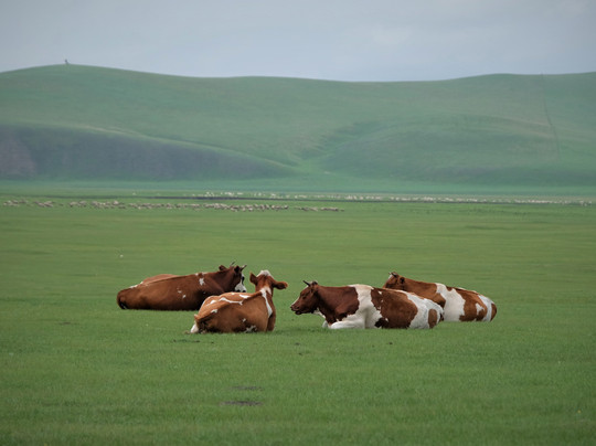 呼伦贝尔之旅-呼伦贝尔市必去景点
