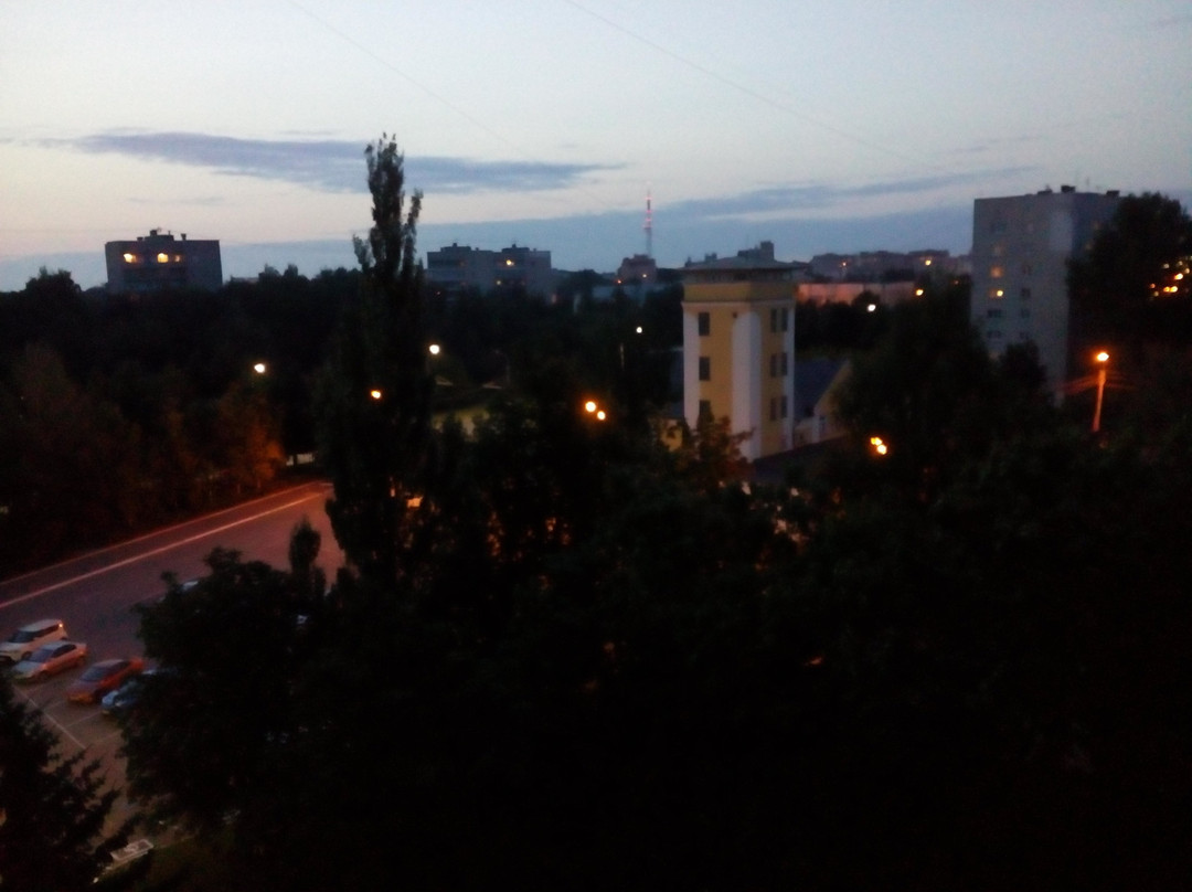 伏尔加酒店主图