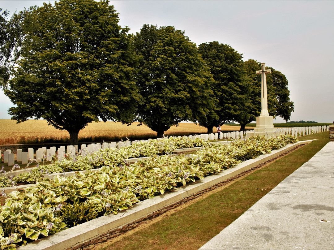 Citadel New Military Cemetery-Fricourt必去景点