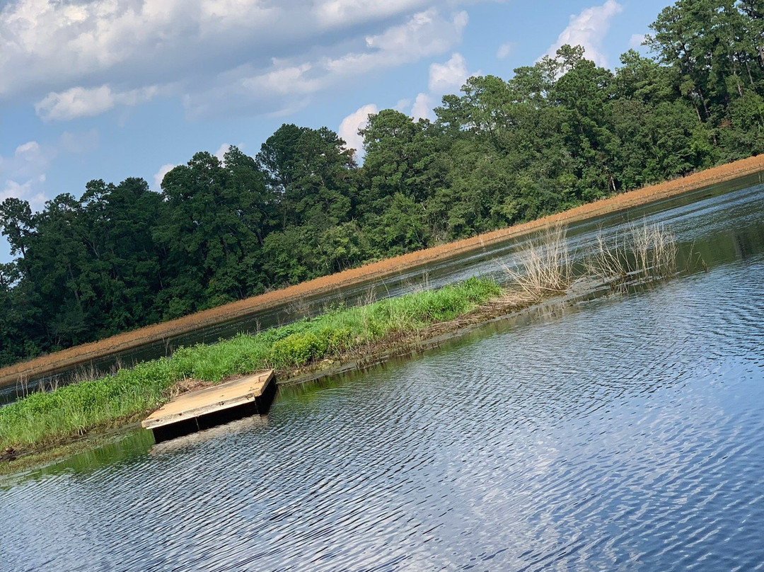 Little Pee Dee State Park景点图片