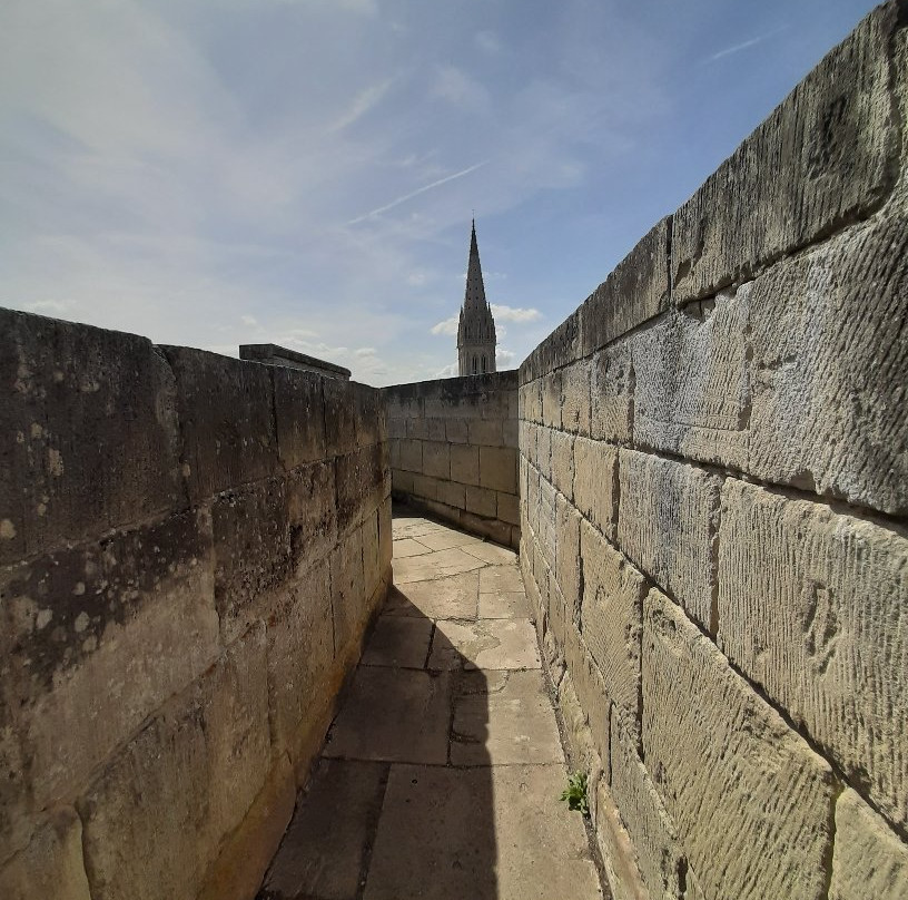 Chateau de Caen景点图片