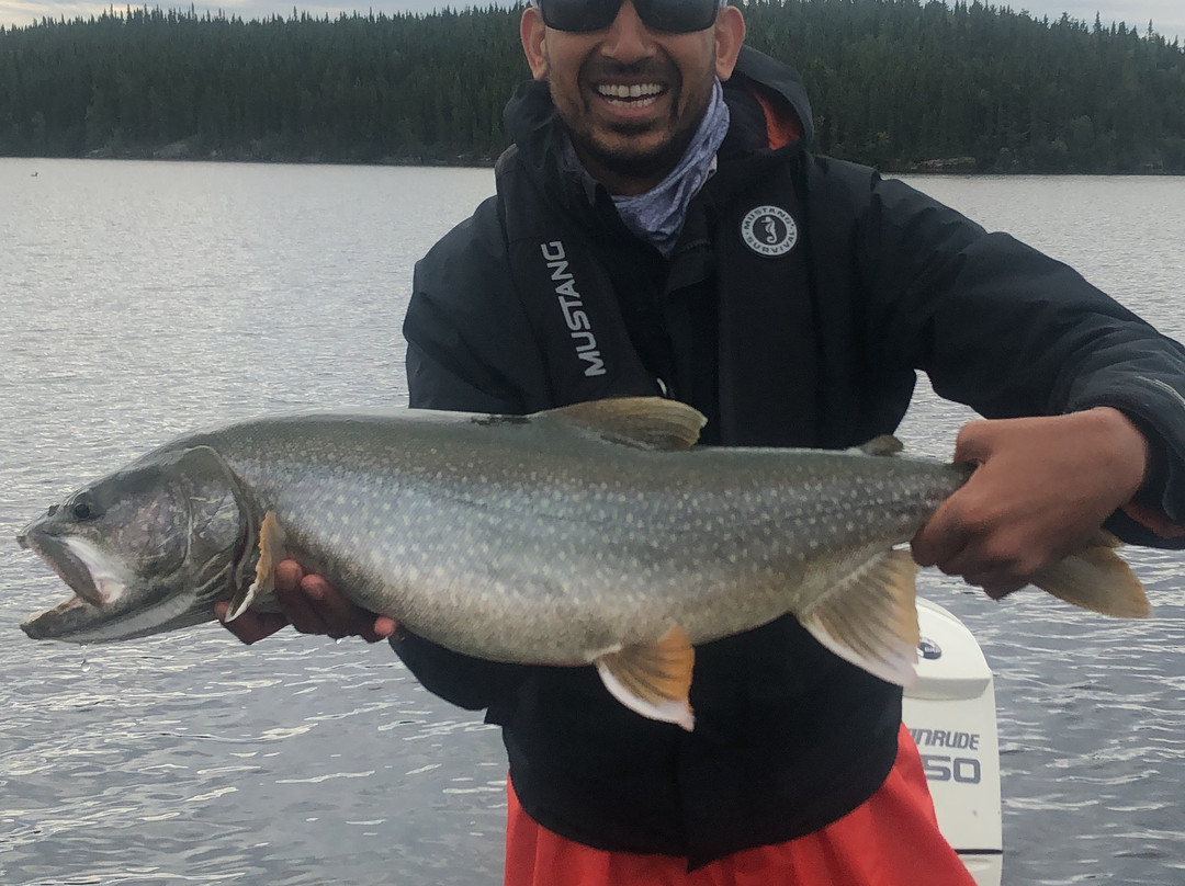 Sherridon旅游攻略图片