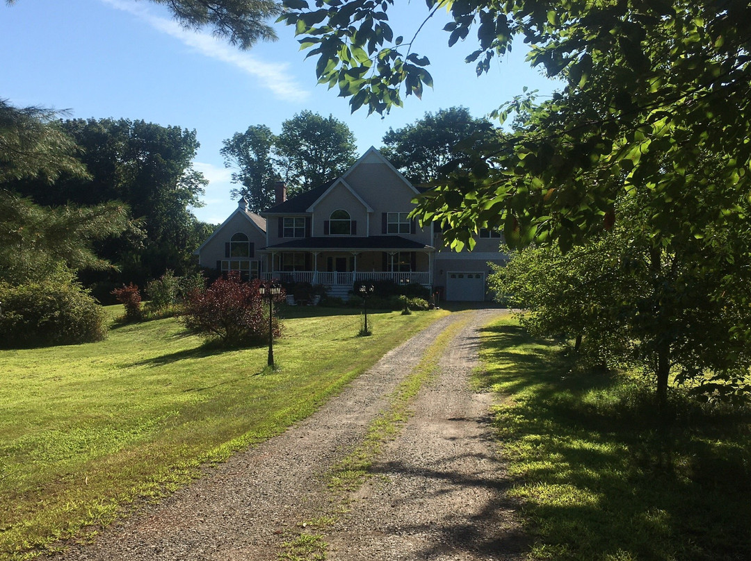 Three Dogs Villa主图