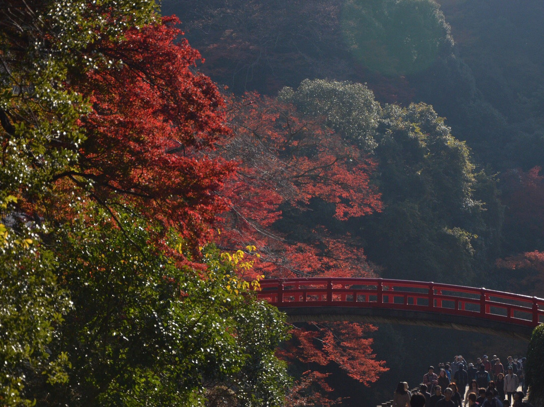 Waterfall of Mino景点图片