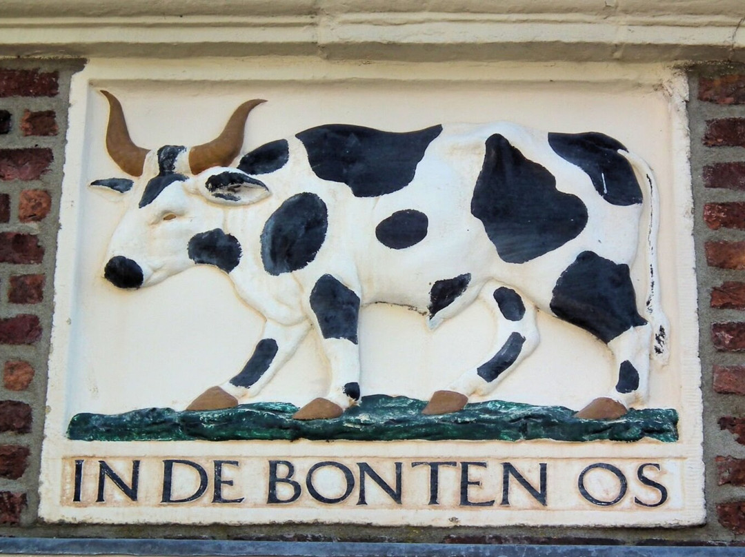 Huis In De Bonten Os (1611)景点图片