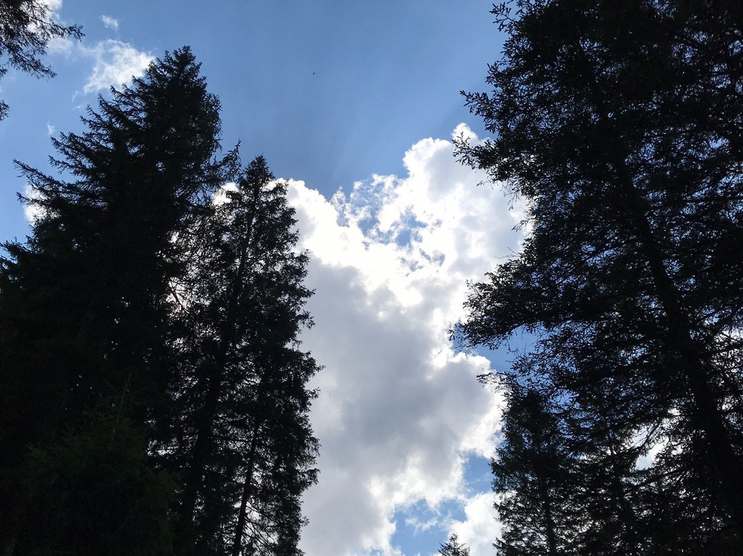 Masi di Cavalese餐馆和美食-Rifugio Carlettini