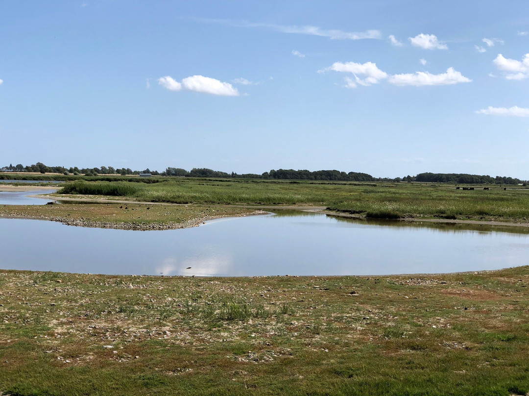 NABU-Wasservogelreservat Wallnau-Fehmarn必去景点